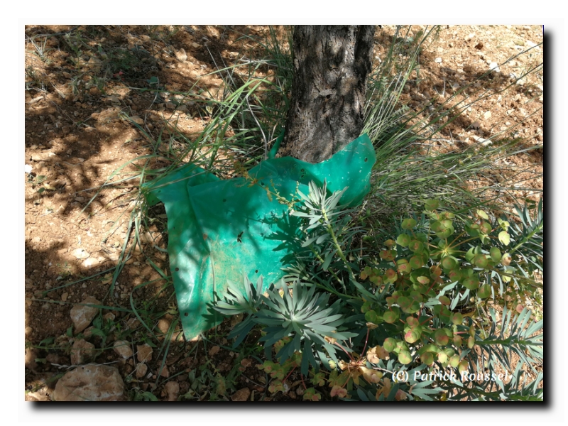 plastique agricole