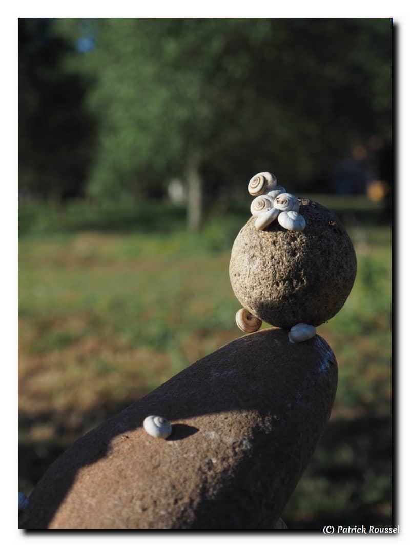 des bawis sur Pierres de Soleil