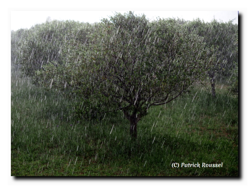 pluie battante sur fond d\