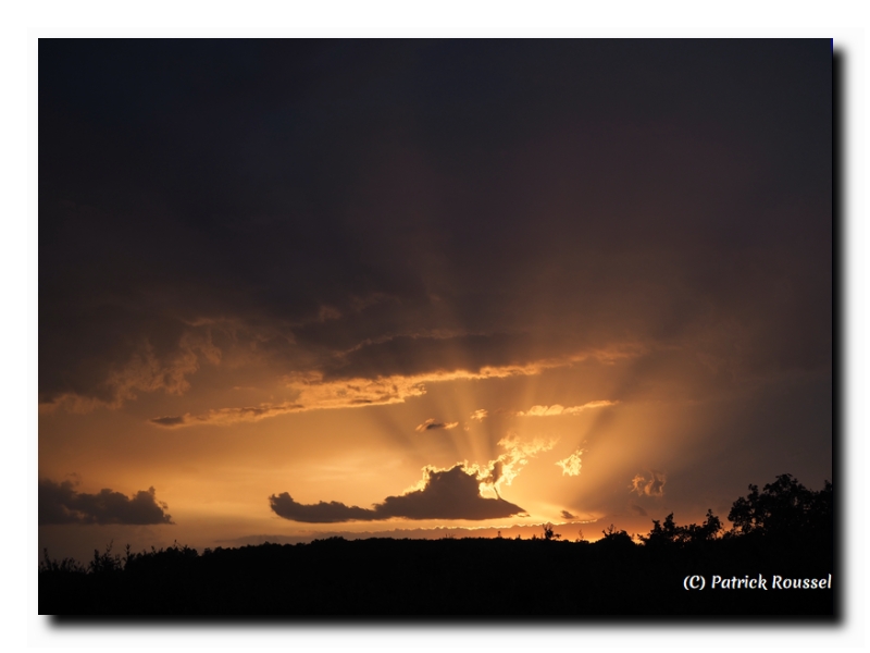 11 une photo de cette année 2024