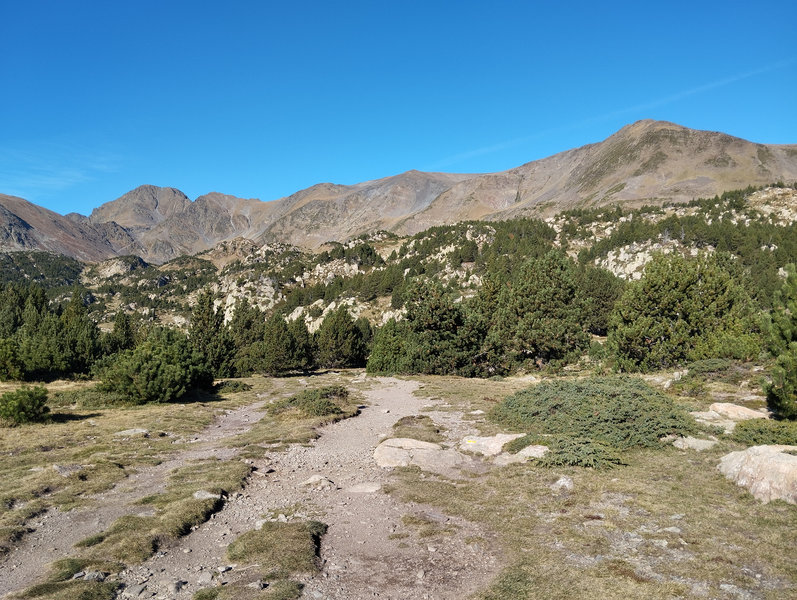 en chemin, paysage de montagne