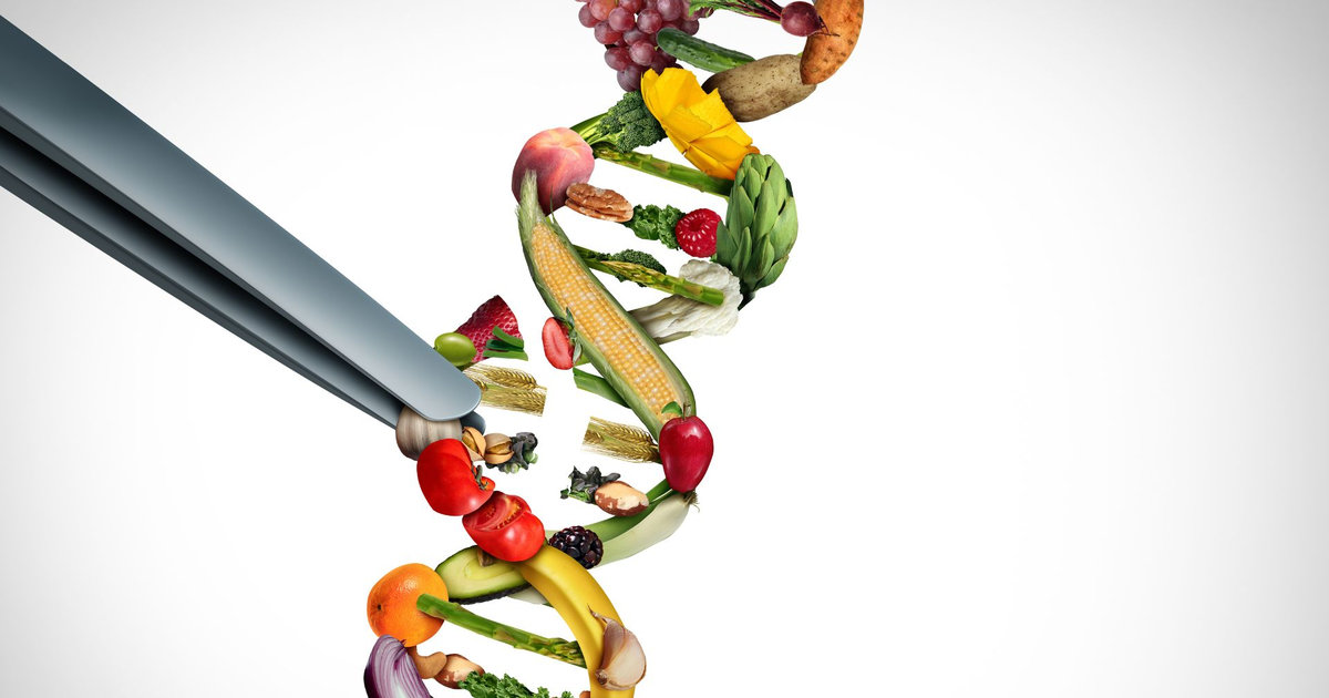 IA : adn fait de légumes dissocié par une brucelle