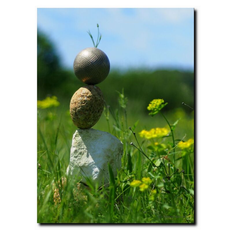 Image 011
