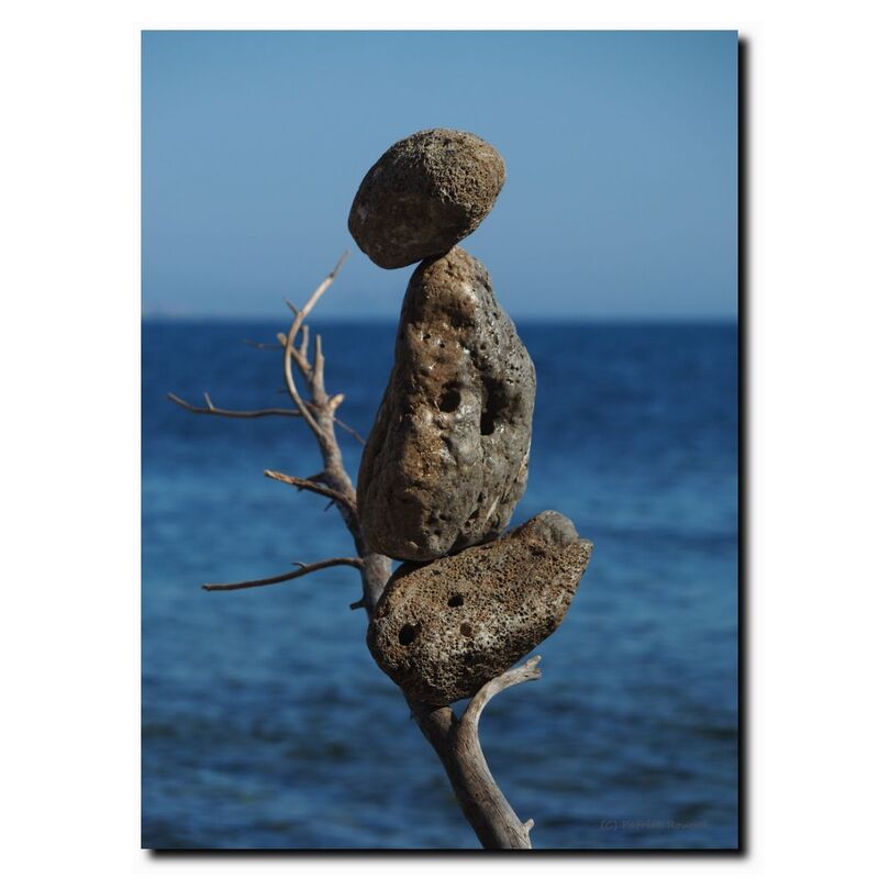 Image 012